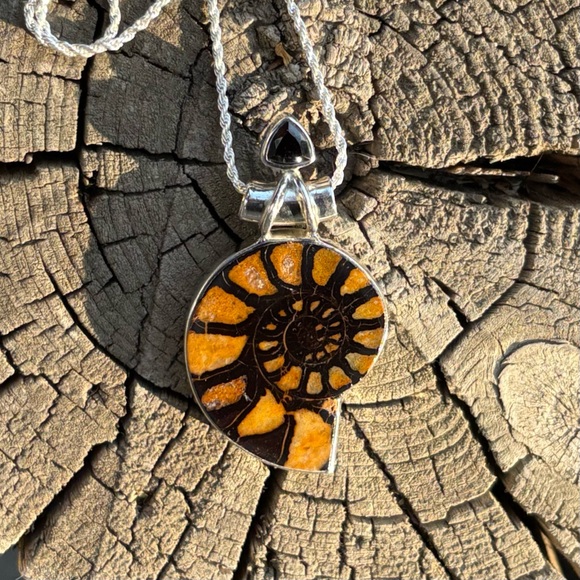 Ammonite & Onyx Necklace - Picture 11 of 13